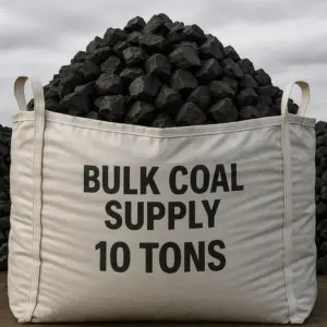 Bulk Coal Supply (10 tons)