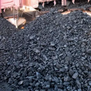 Bulk Coal Supply (20 tons)