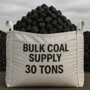 Bulk Coal Supply (30 tons)