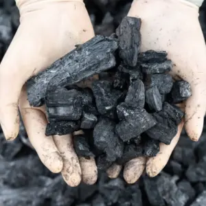Screened Coal - 25-50mm (per ton)